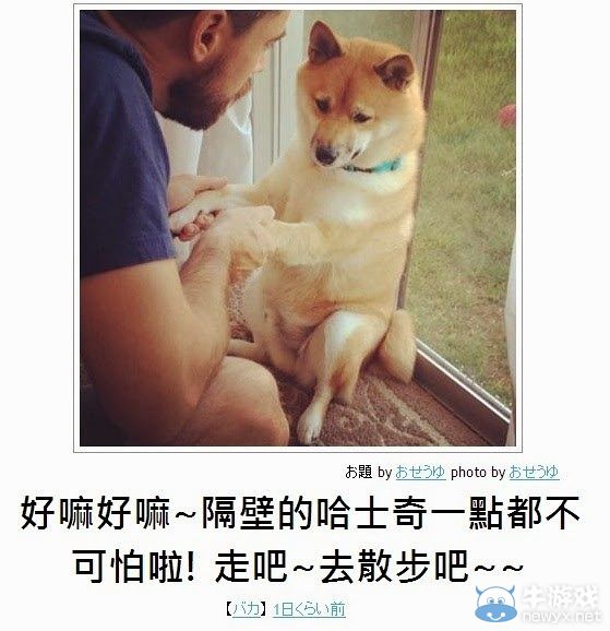 看完笑點變奇怪了呢!日式冷笑話無厘頭圖文大放送