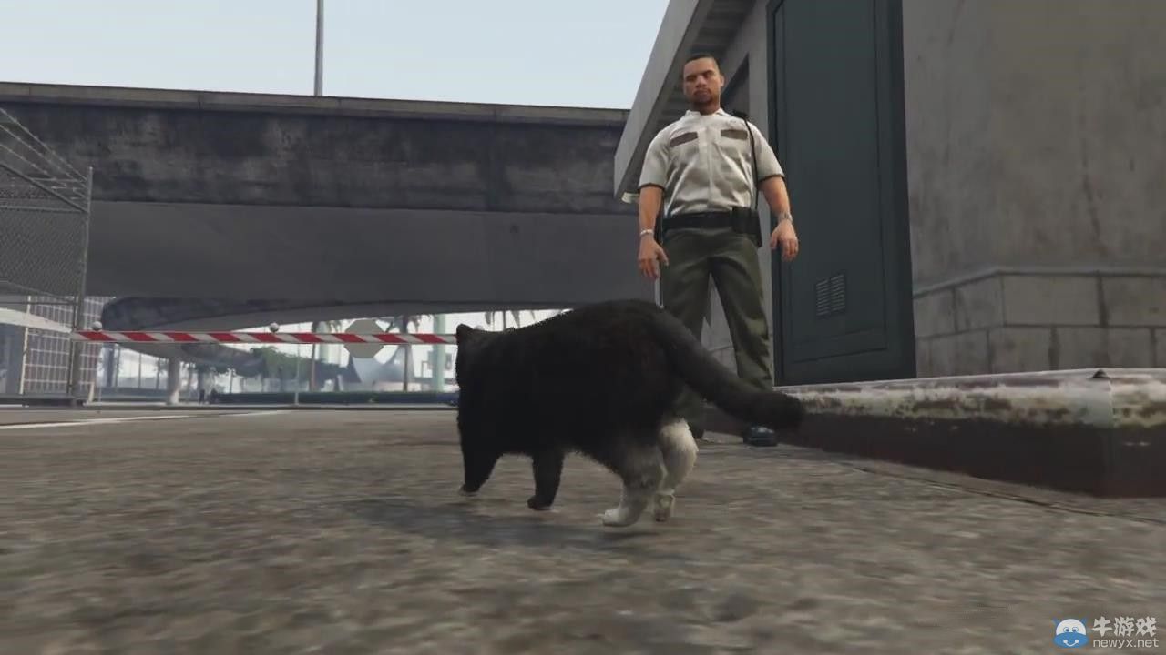 《俠盜獵車手5》（GTA5）曝趣味彩蛋：變貓變狗化身動物世界
