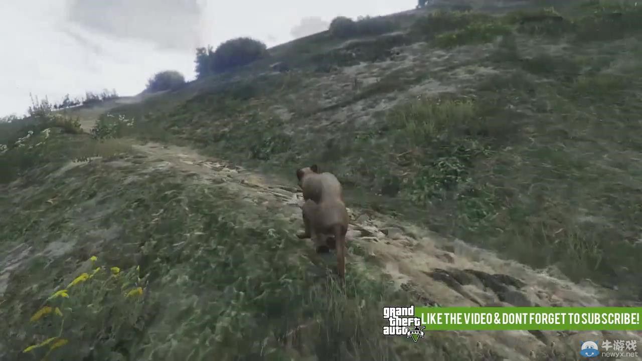 《俠盜獵車手5》（GTA5）曝趣味彩蛋：變貓變狗化身動物世界