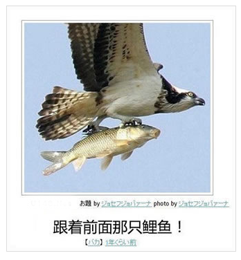 日式冷吐槽真是搞笑至極　簡直要人笑出八塊腹肌