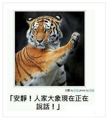 日式冷吐槽真是搞笑至極　簡直要人笑出八塊腹肌