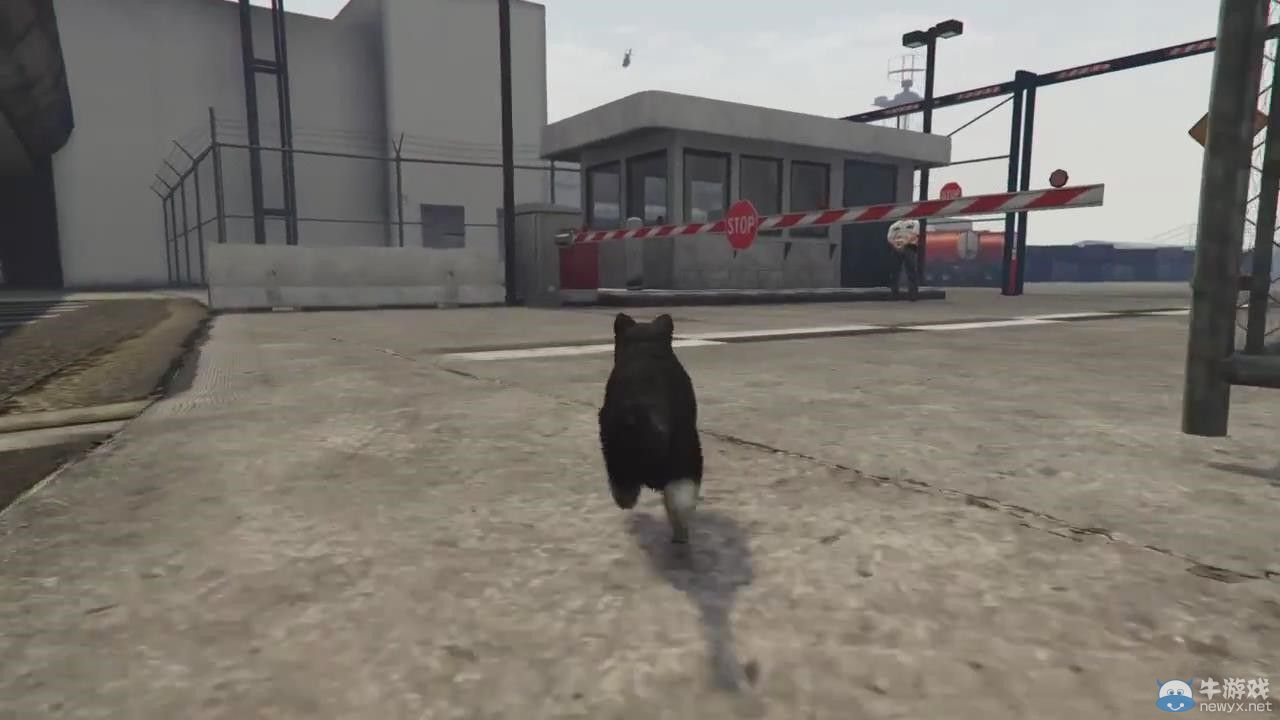 《俠盜獵車手5》（GTA5）曝趣味彩蛋：變貓變狗化身動物世界
