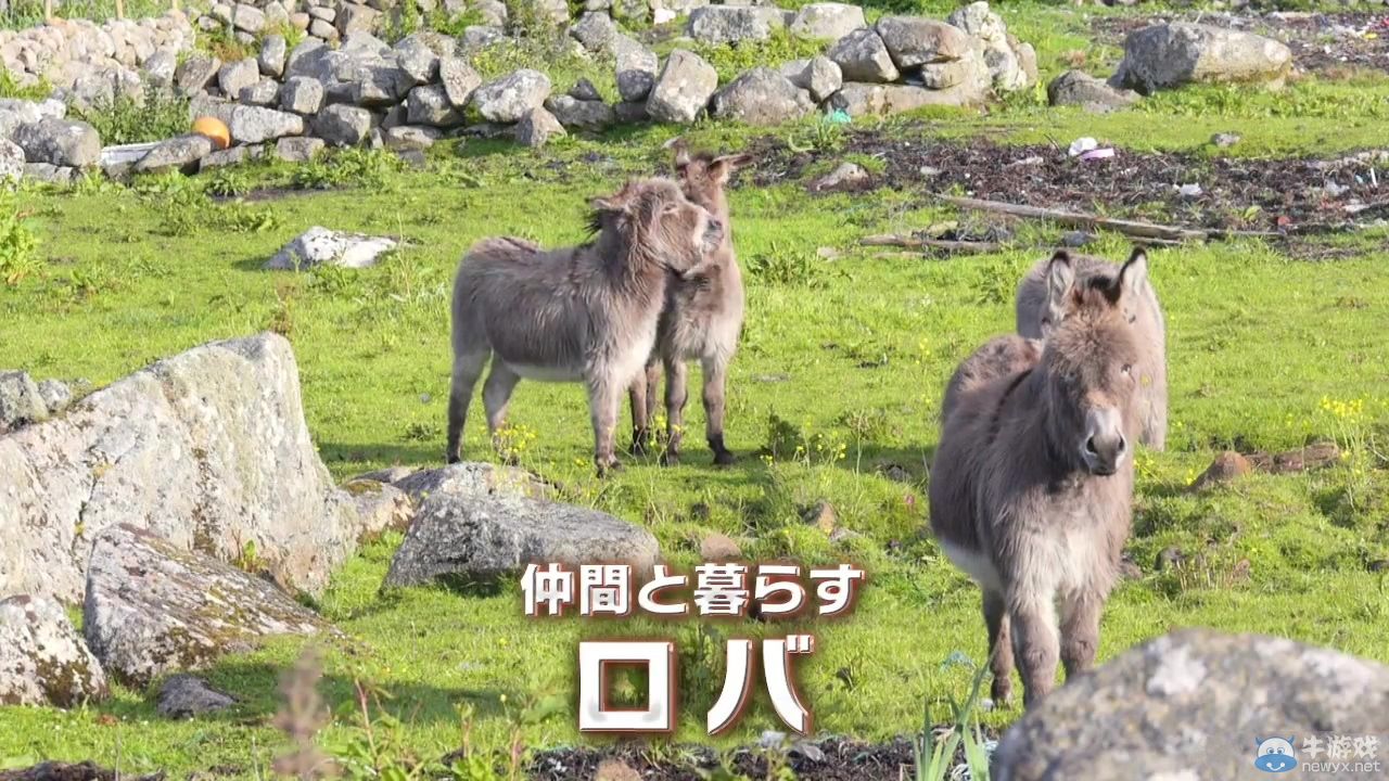 《夢幻之星：新星》腦洞大開宣傳PV：驢與NOVA