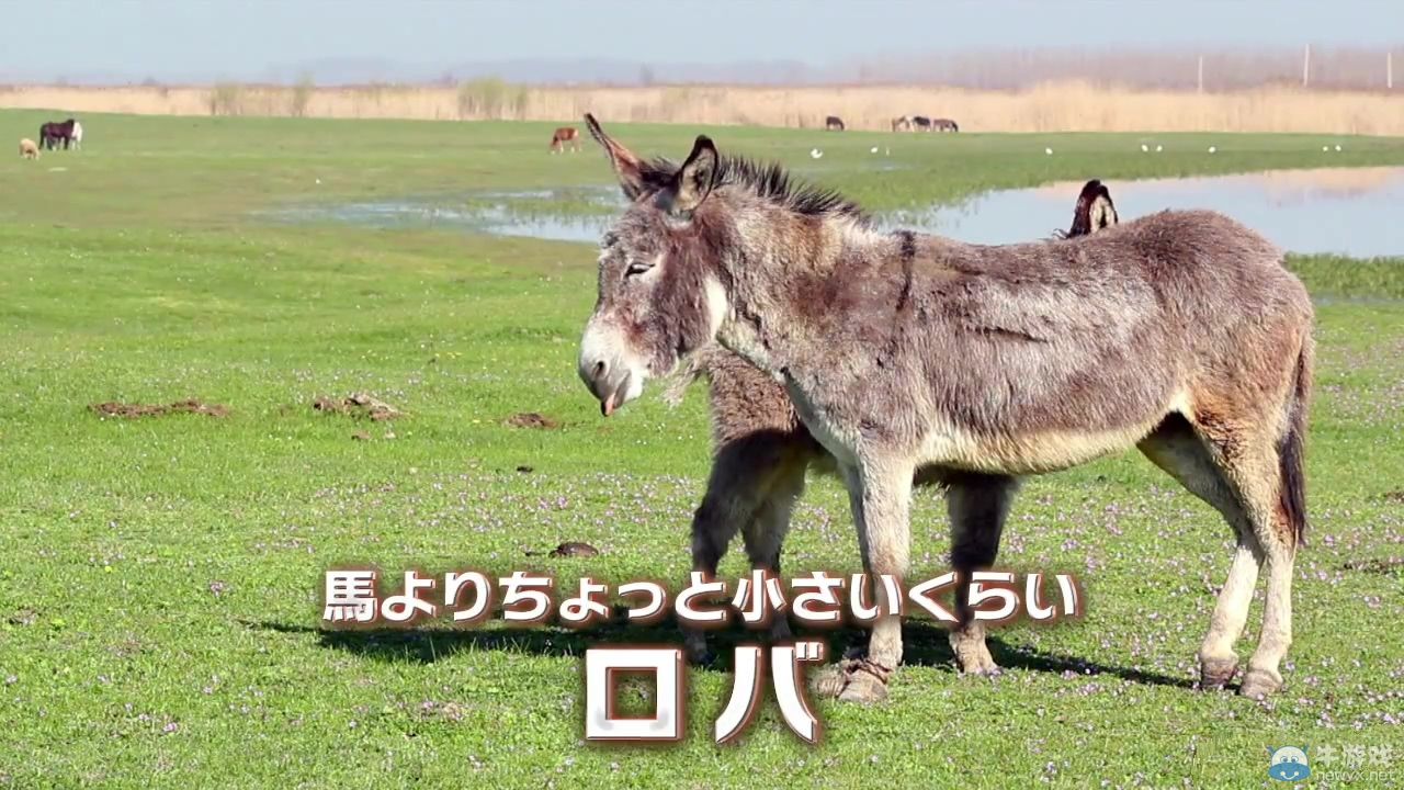 《夢幻之星：新星》腦洞大開宣傳PV：驢與NOVA