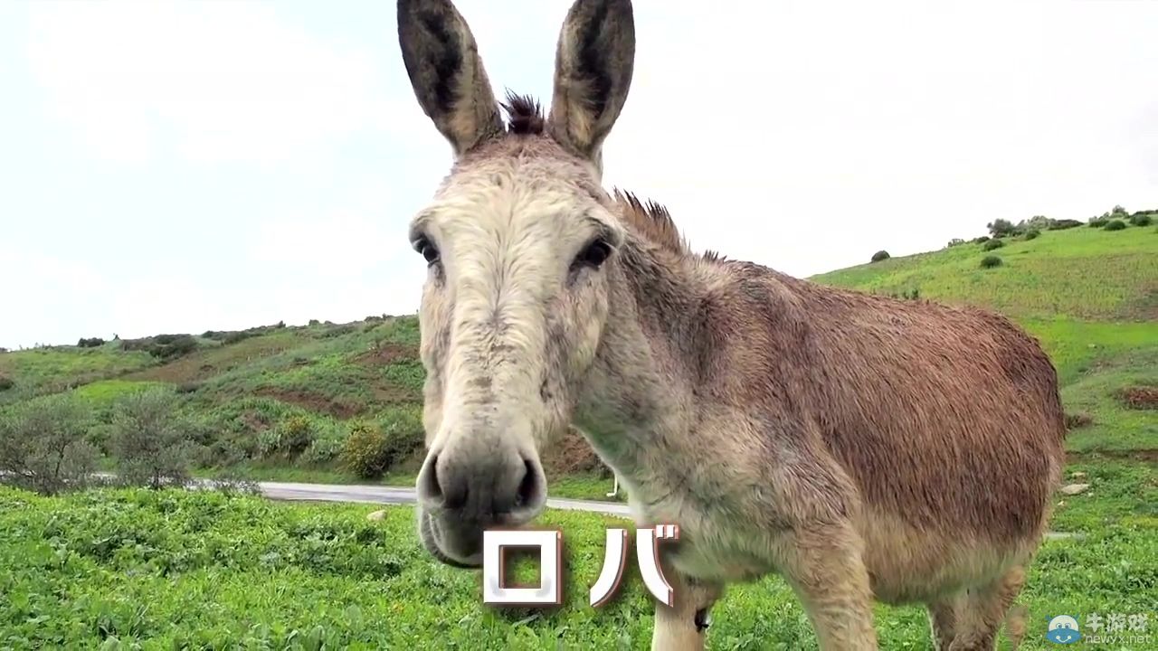 《夢幻之星：新星》腦洞大開宣傳PV：驢與NOVA