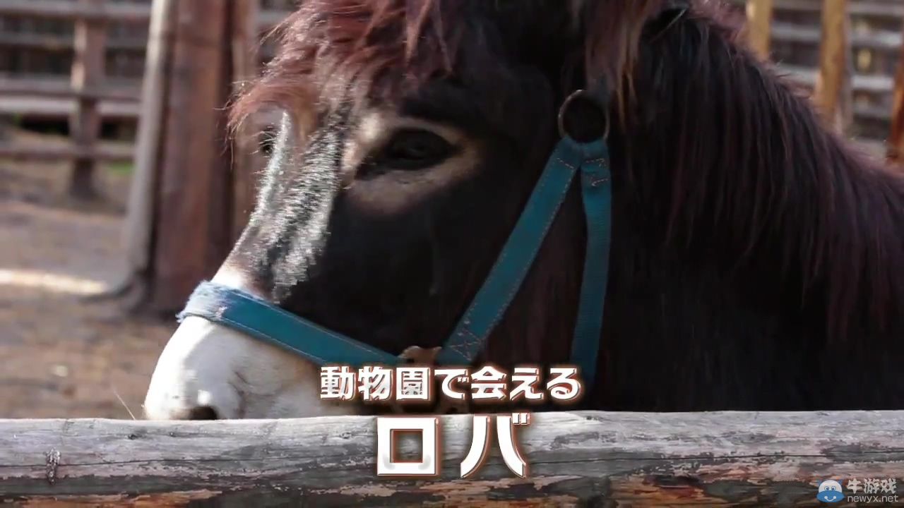 《夢幻之星：新星》腦洞大開宣傳PV：驢與NOVA