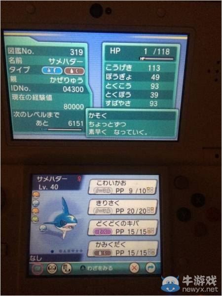 《口袋妖怪：紅藍(lán)寶石》使用搜索器輕松抓閃光