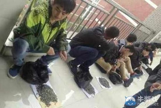 還缺學生不?學生上課嗑瓜子,老師買百斤讓其嗑個夠