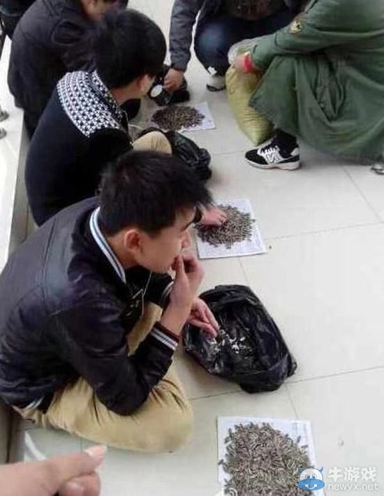 還缺學生不?學生上課嗑瓜子,老師買百斤讓其嗑個夠