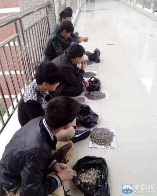 還缺學生不?學生上課嗑瓜子,老師買百斤讓其嗑個夠