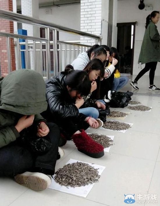 還缺學生不?學生上課嗑瓜子,老師買百斤讓其嗑個夠