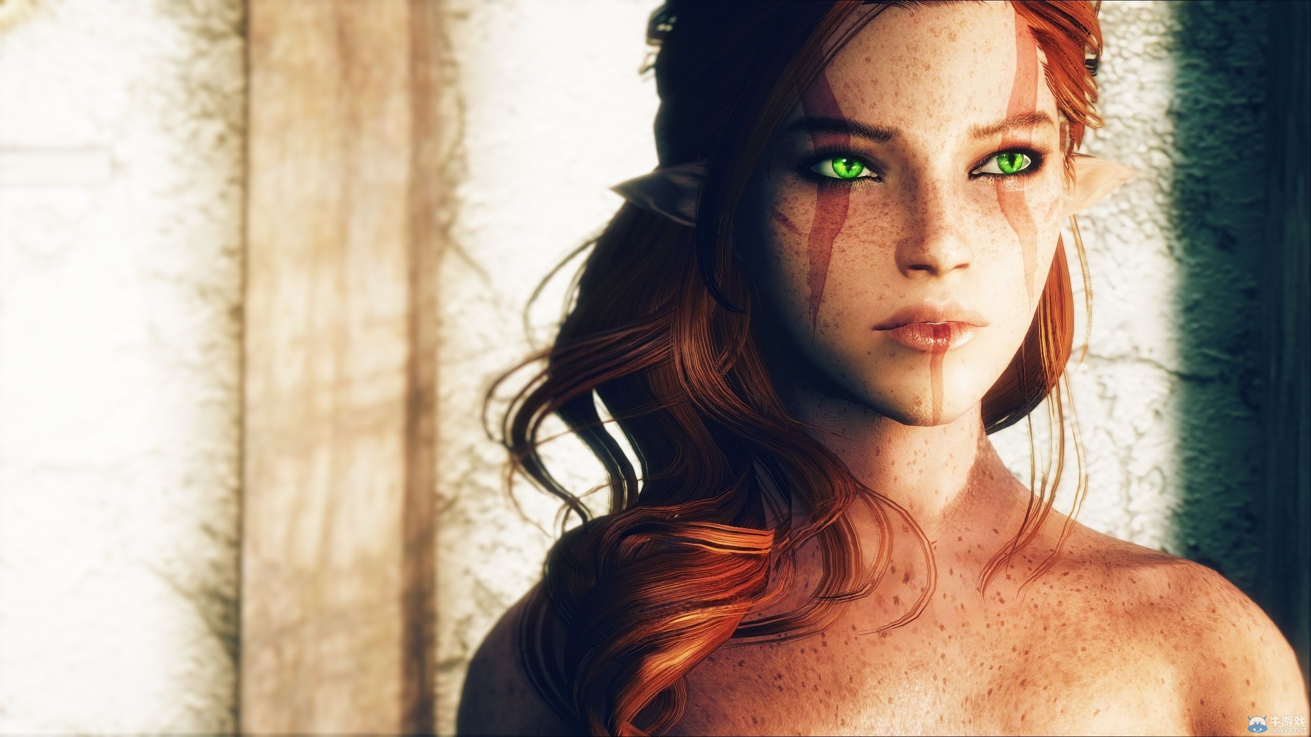 《上古卷軸5：天際》MOD美女圖：色彩艷麗引人遐想