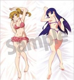 《秋葉原之旅2》推出三款雙面女主角泳裝抱枕