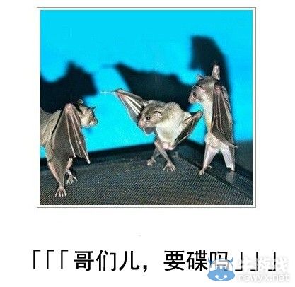 犀利到沒朋友!日式冷吐槽襲來鍛煉你的腹肌吧!