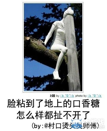 犀利到沒朋友!日式冷吐槽襲來鍛煉你的腹肌吧!
