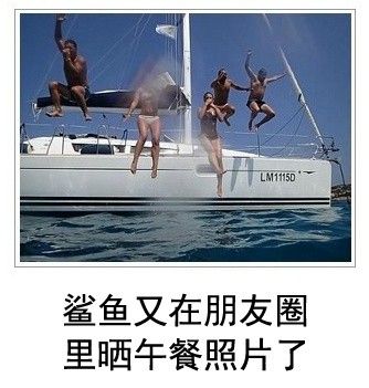 犀利到沒朋友!日式冷吐槽襲來鍛煉你的腹肌吧!