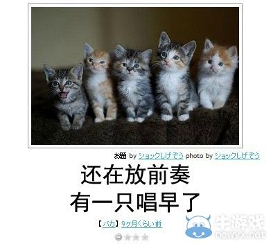 犀利到沒朋友!日式冷吐槽襲來鍛煉你的腹肌吧!