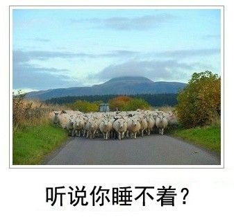 犀利到沒朋友!日式冷吐槽襲來鍛煉你的腹肌吧!