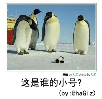 犀利到沒朋友!日式冷吐槽襲來鍛煉你的腹肌吧!