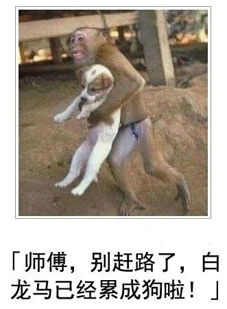 犀利到沒朋友!日式冷吐槽襲來鍛煉你的腹肌吧!