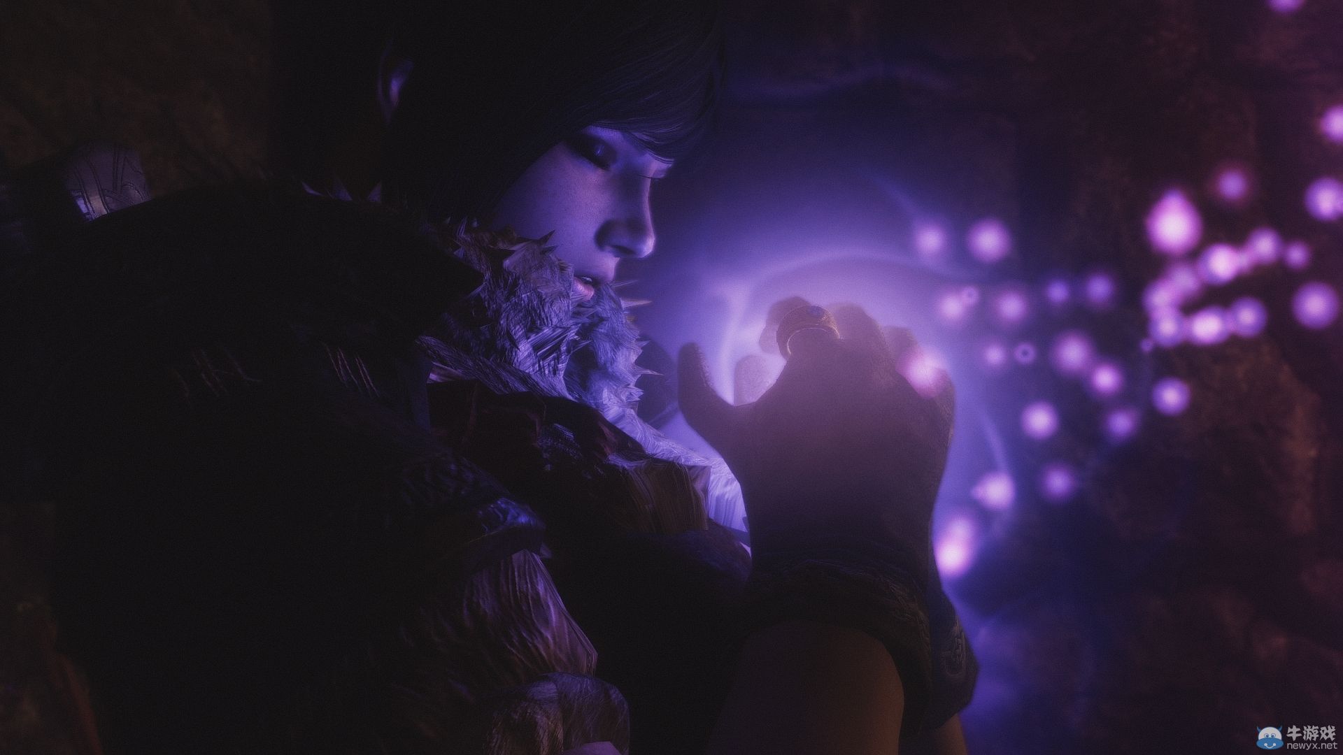 《上古卷軸5：天際》MOD圖欣賞：萬千佳麗的最后盛宴