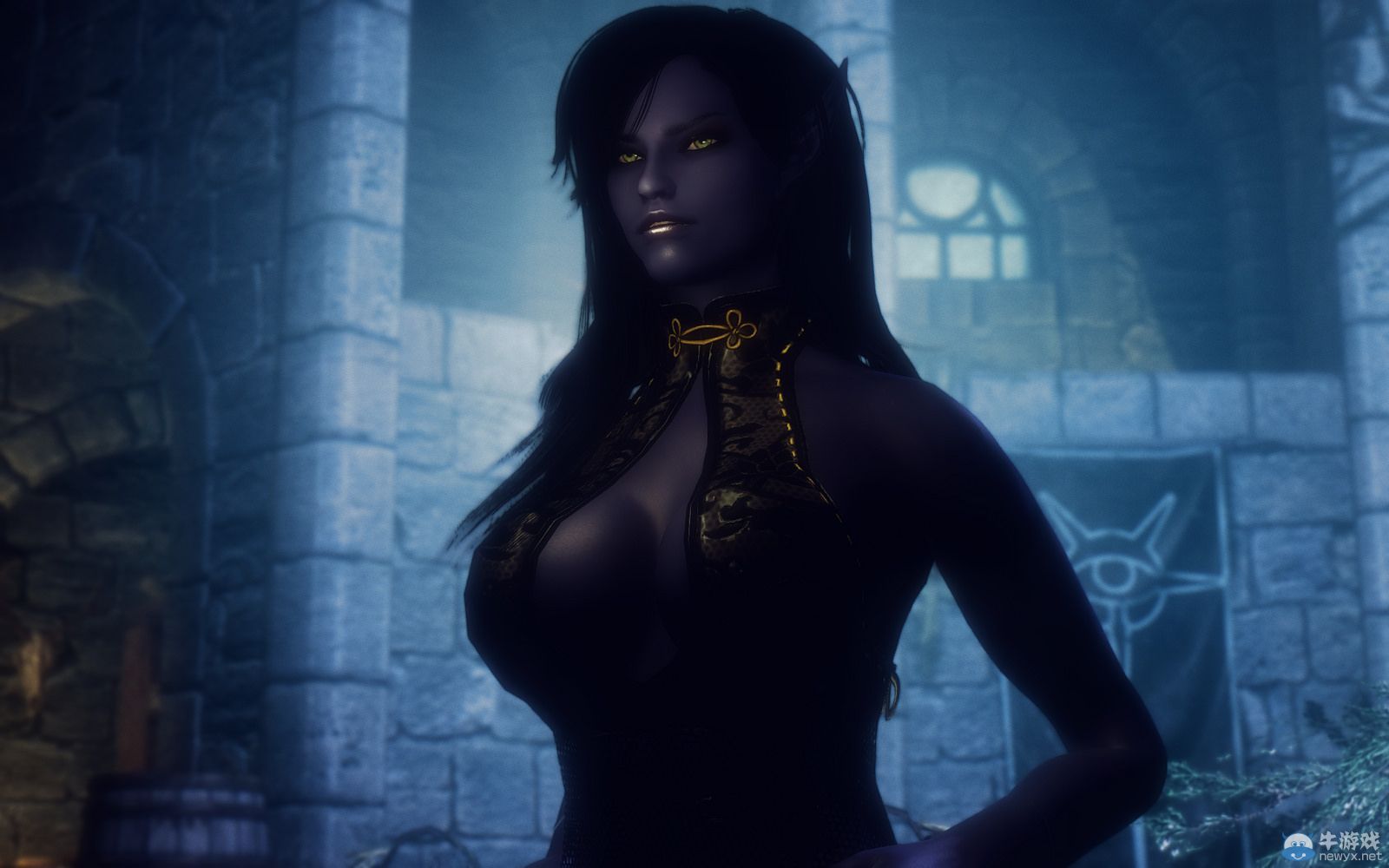 《上古卷軸5：天際》MOD圖欣賞：萬千佳麗的最后盛宴