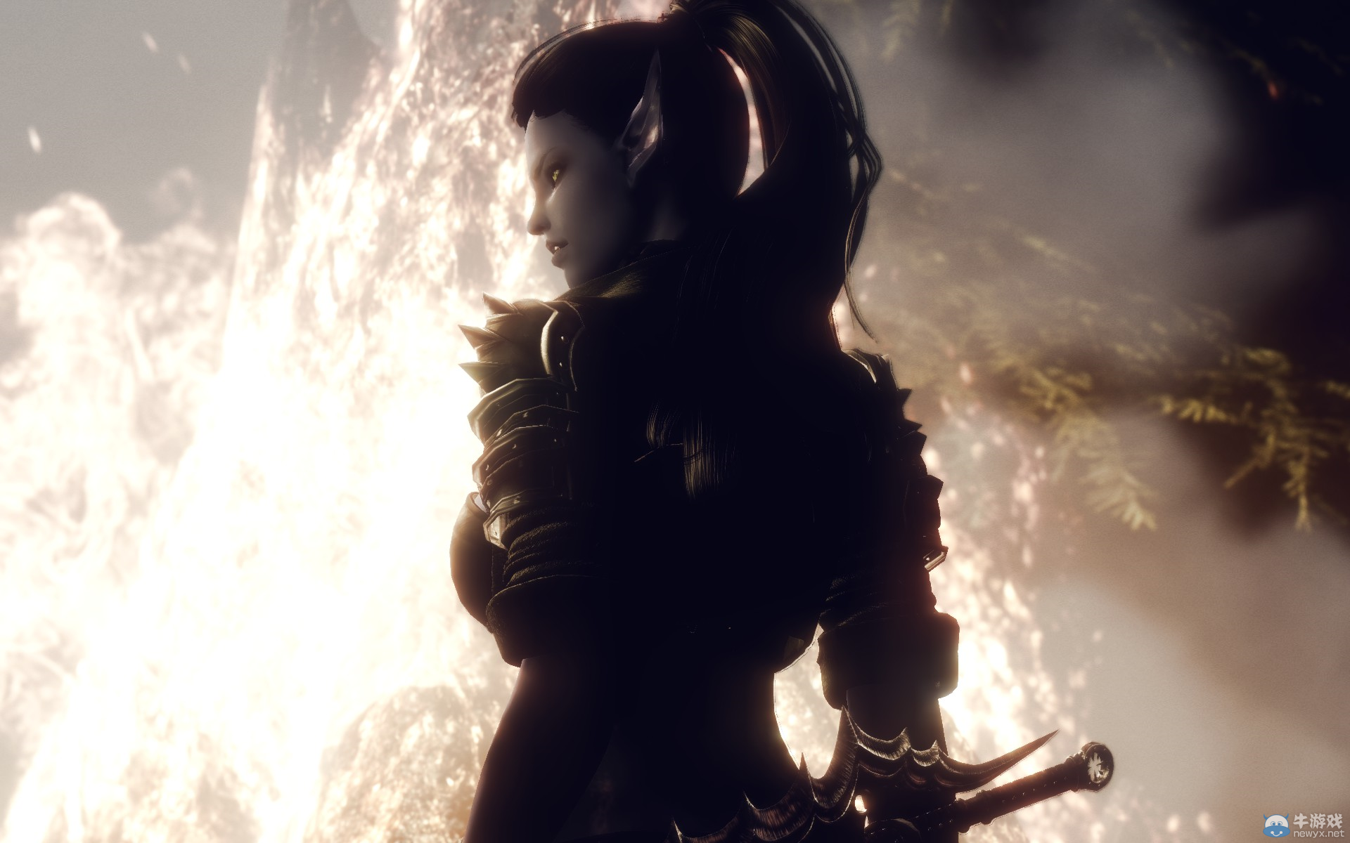 《上古卷軸5：天際》MOD圖欣賞：萬千佳麗的最后盛宴