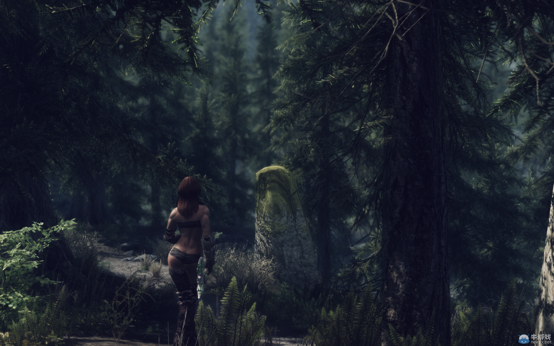 《上古卷軸5：天際》MOD圖欣賞：萬千佳麗的最后盛宴