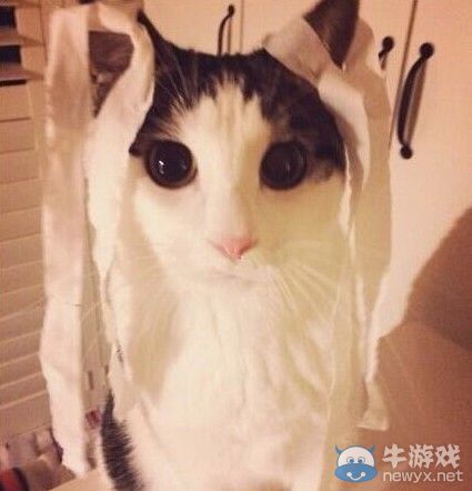 小龍女被玩壞了!全民PK陳妍希 網友被道具亮瞎眼