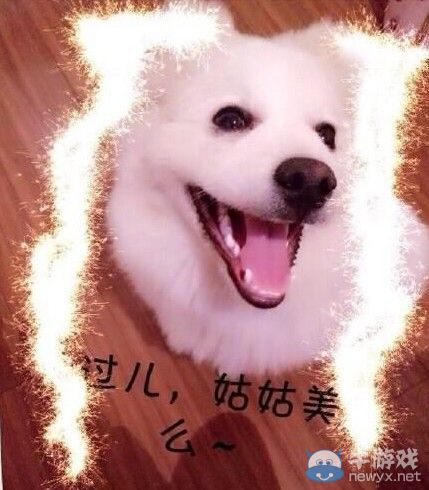小龍女被玩壞了!全民PK陳妍希 網友被道具亮瞎眼