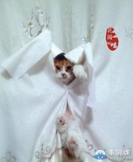 小龍女被玩壞了!全民PK陳妍希 網友被道具亮瞎眼
