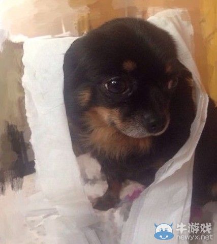 小龍女被玩壞了!全民PK陳妍希 網友被道具亮瞎眼