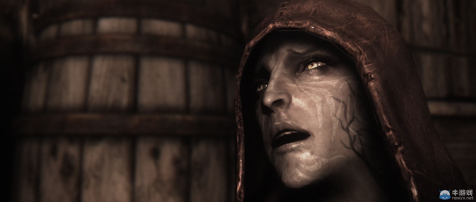 顏控看過來！《上古卷軸5：天際》令人驚艷面容賞