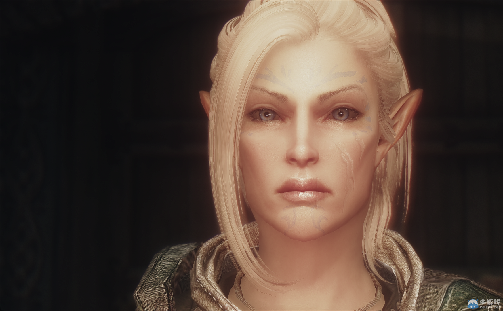 顏控看過來！《上古卷軸5：天際》令人驚艷面容賞