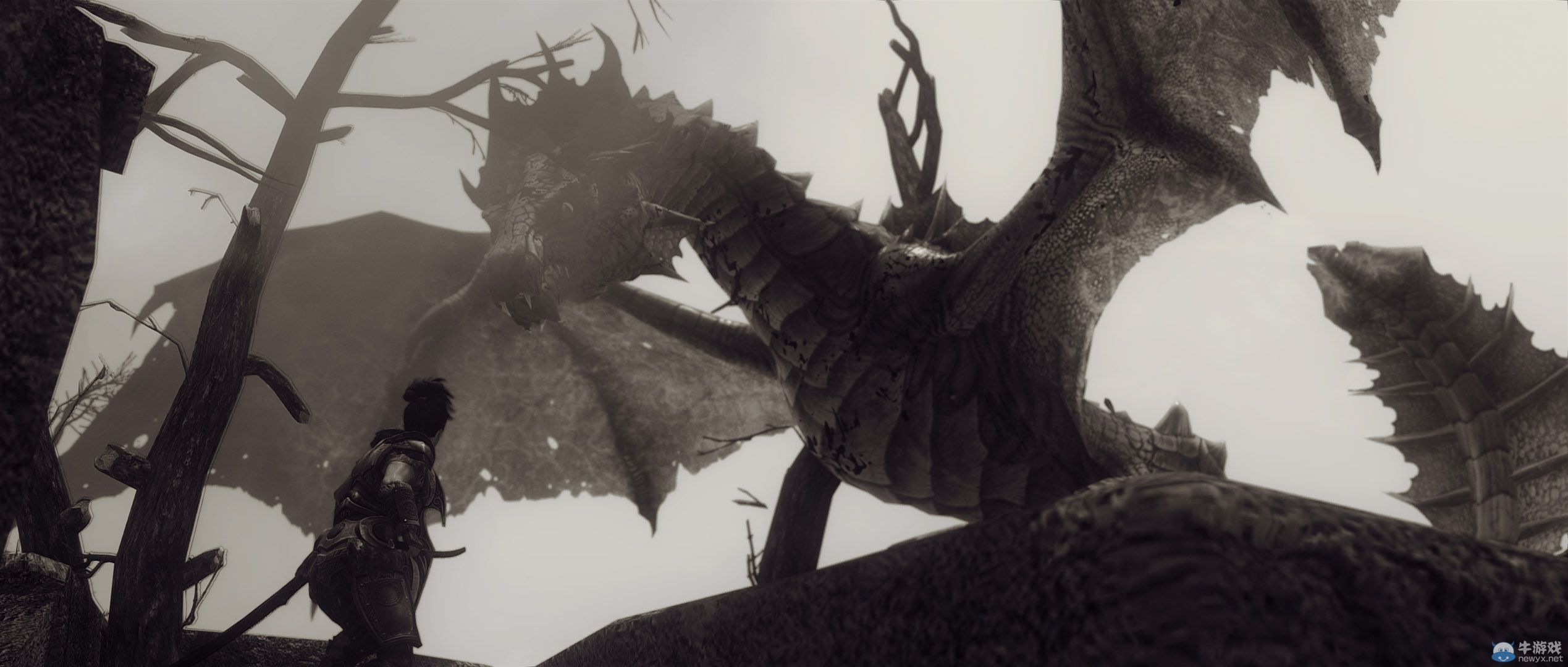 《上古卷軸5：天際》最新藝術截圖：柔和光影下的灰度美女