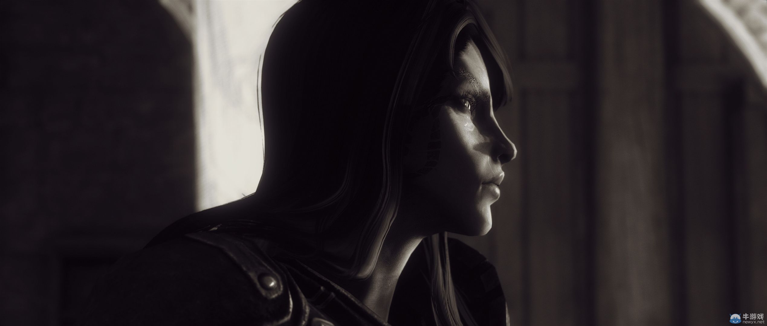 《上古卷軸5：天際》最新藝術截圖：柔和光影下的灰度美女