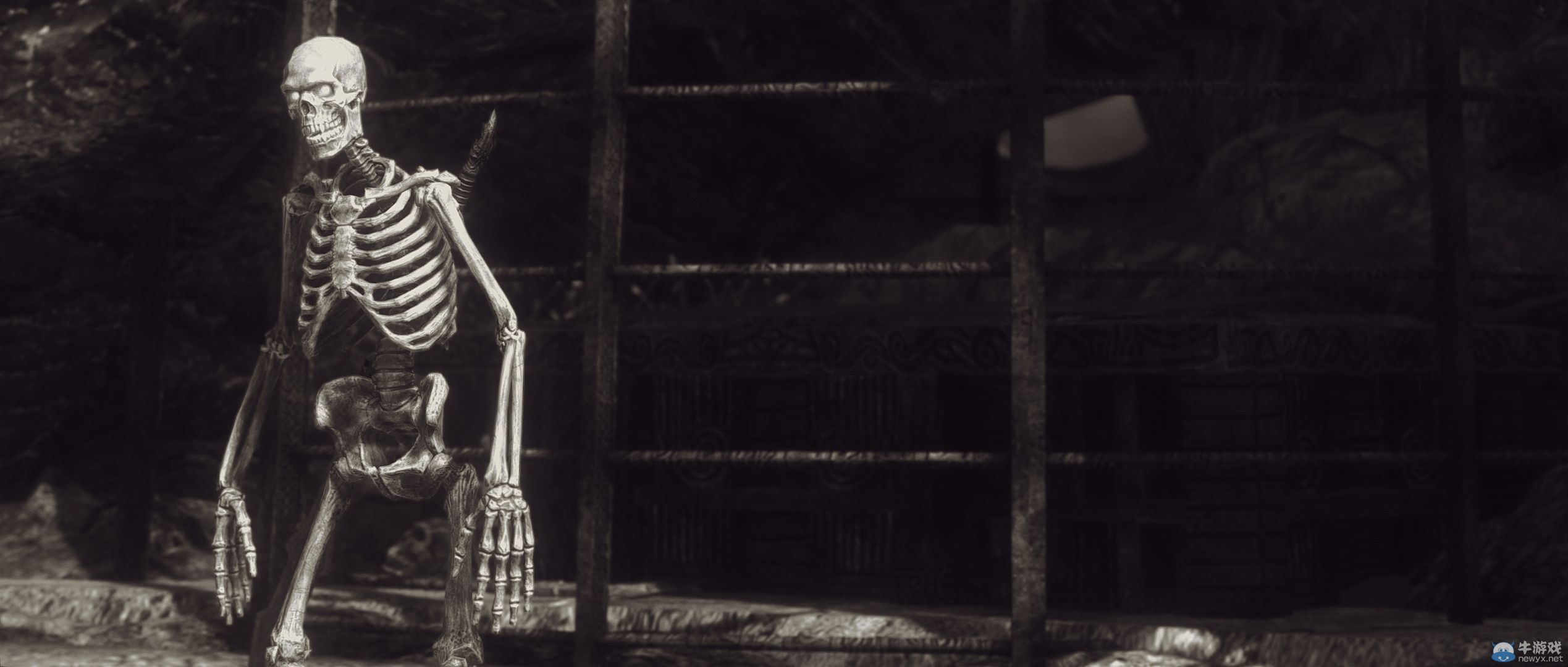 《上古卷軸5：天際》最新藝術截圖：柔和光影下的灰度美女