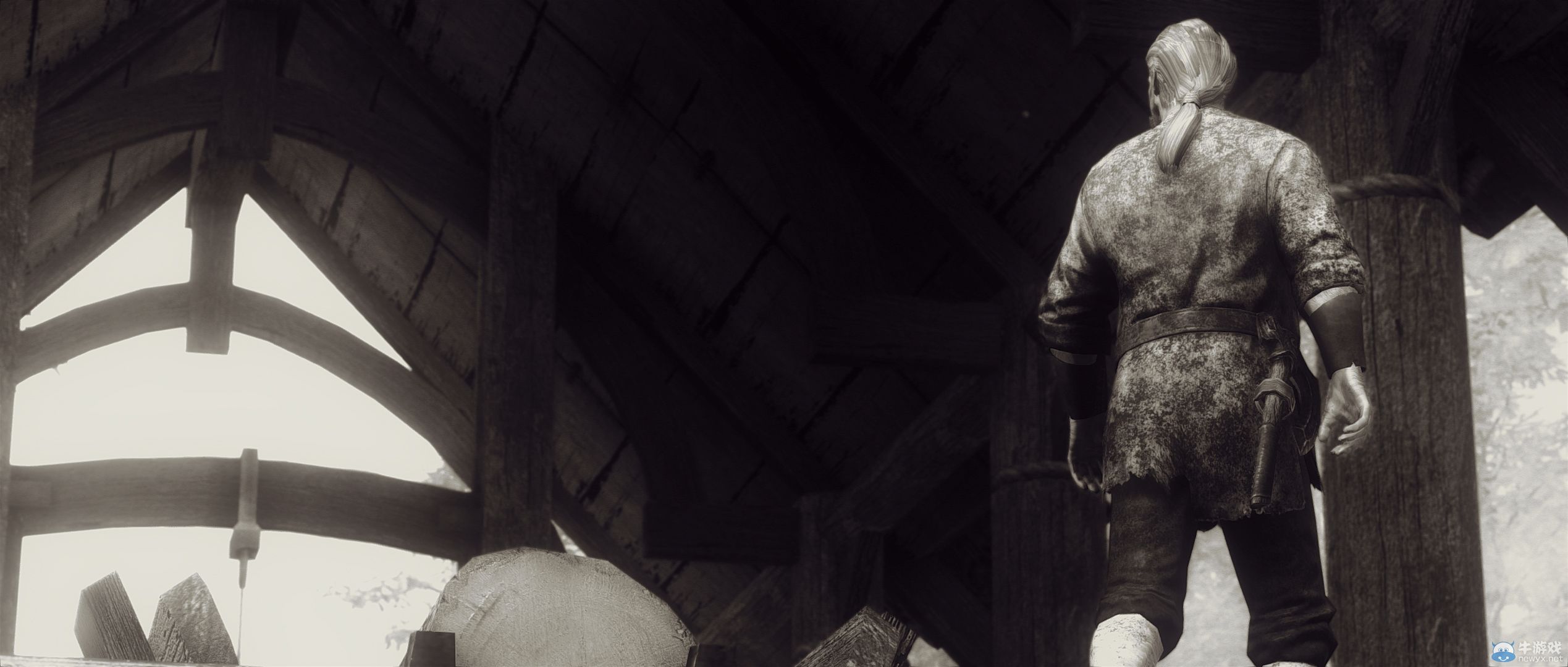 《上古卷軸5：天際》最新藝術截圖：柔和光影下的灰度美女