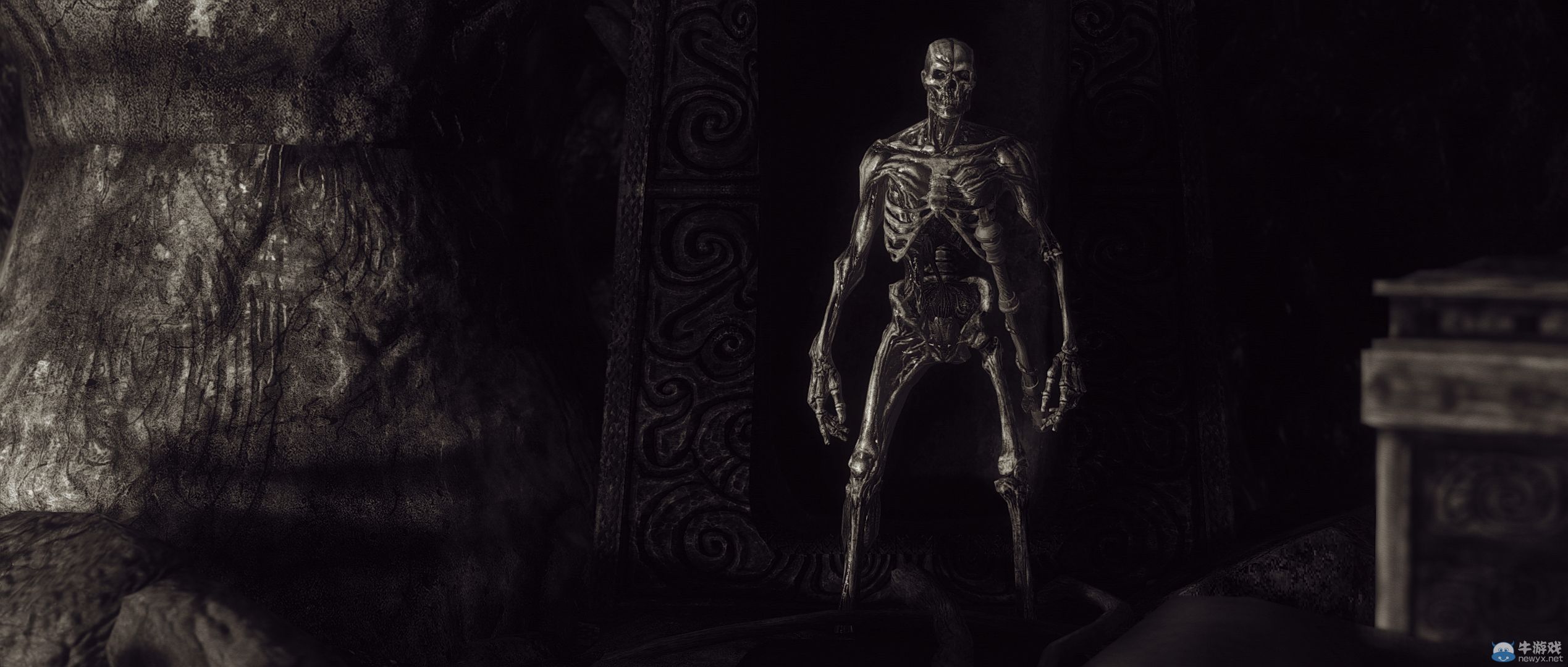 《上古卷軸5：天際》最新藝術截圖：柔和光影下的灰度美女