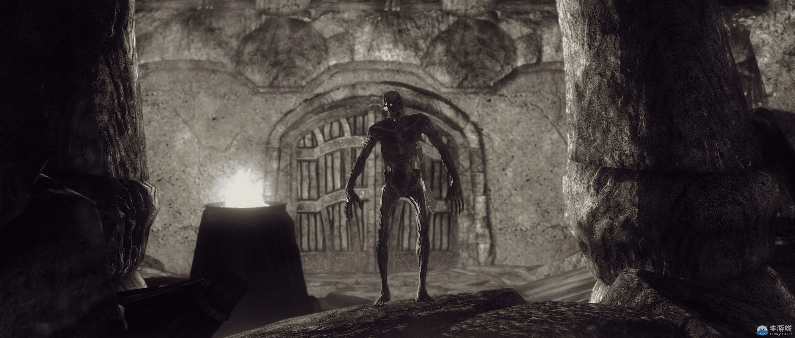 《上古卷軸5：天際》最新藝術截圖：柔和光影下的灰度美女