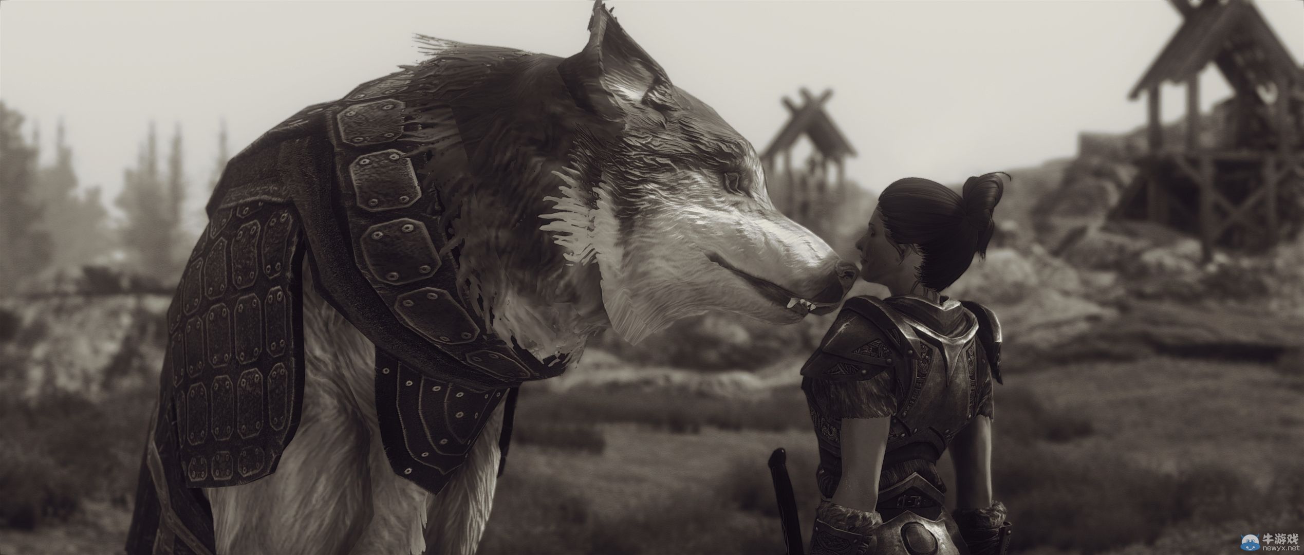 《上古卷軸5：天際》最新藝術截圖：柔和光影下的灰度美女