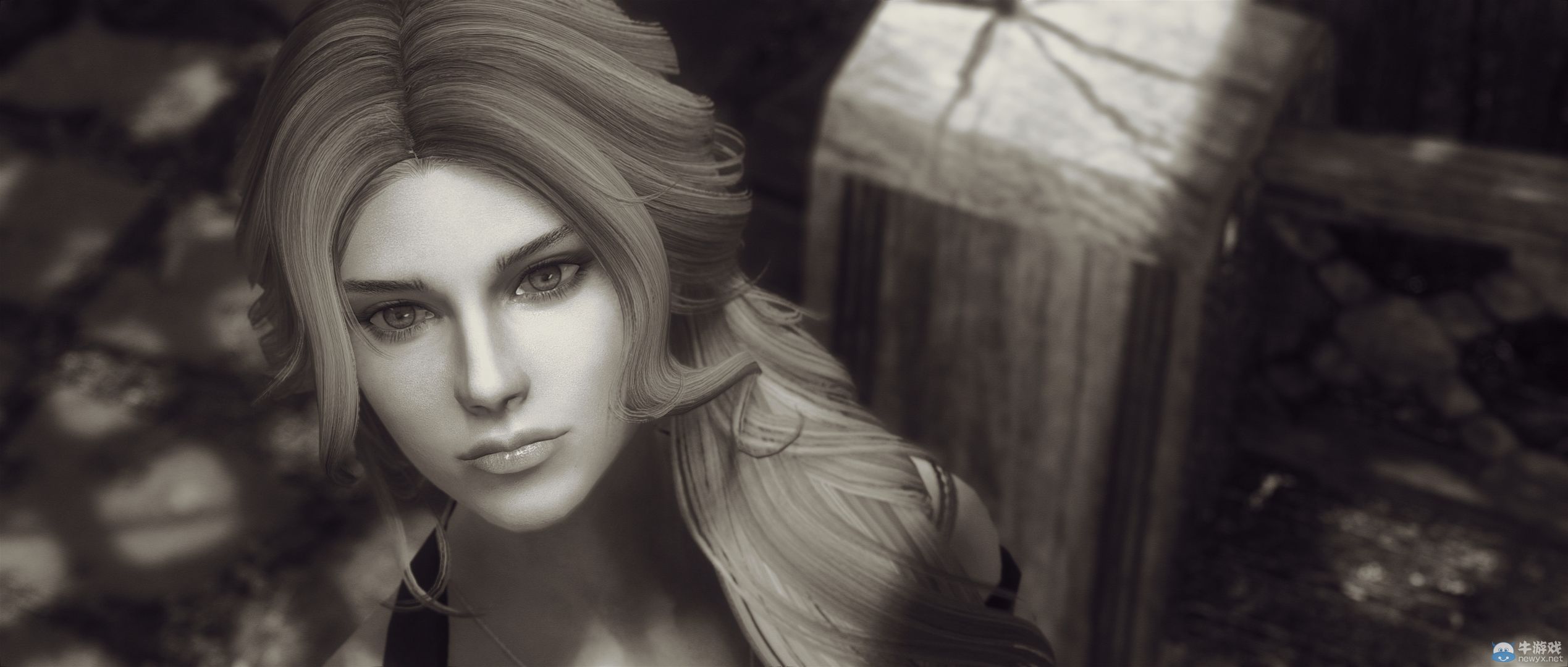 《上古卷軸5：天際》最新藝術截圖：柔和光影下的灰度美女