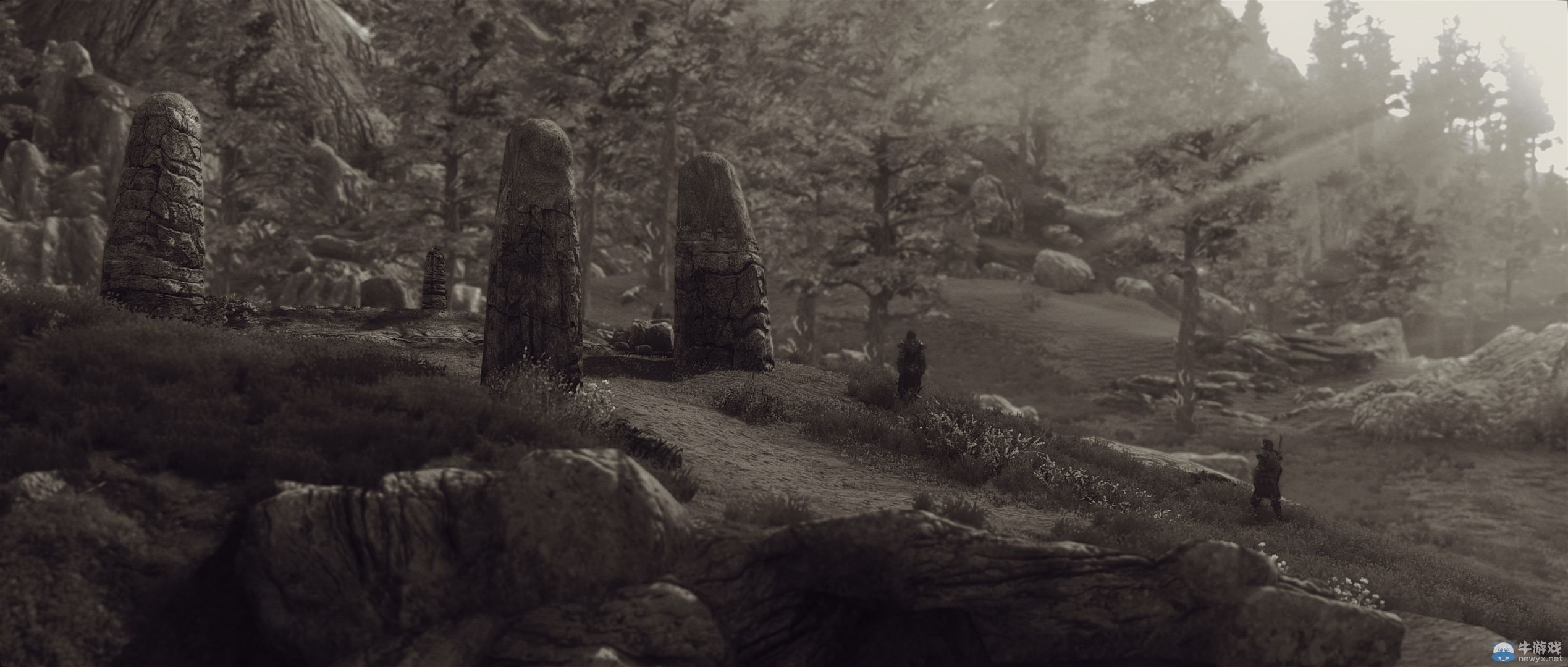 《上古卷軸5：天際》最新藝術截圖：柔和光影下的灰度美女