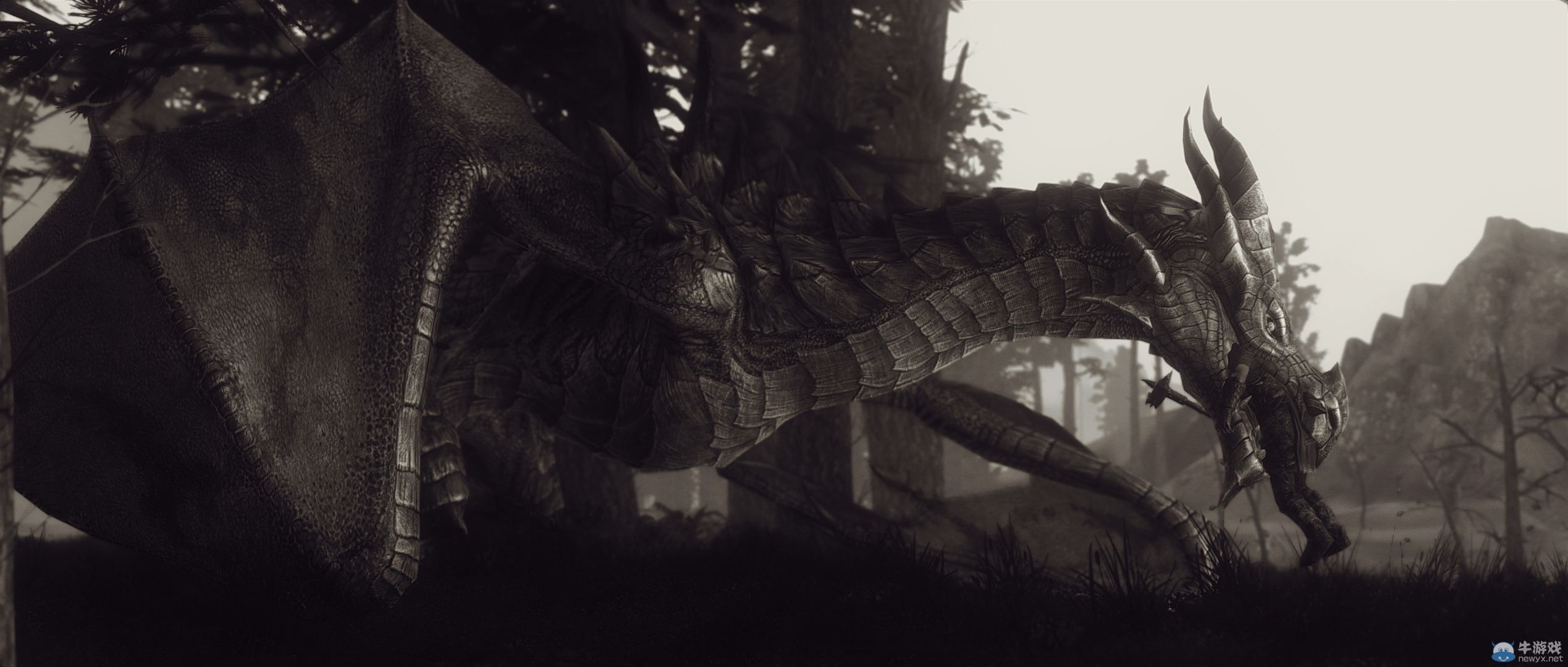 《上古卷軸5：天際》最新藝術截圖：柔和光影下的灰度美女