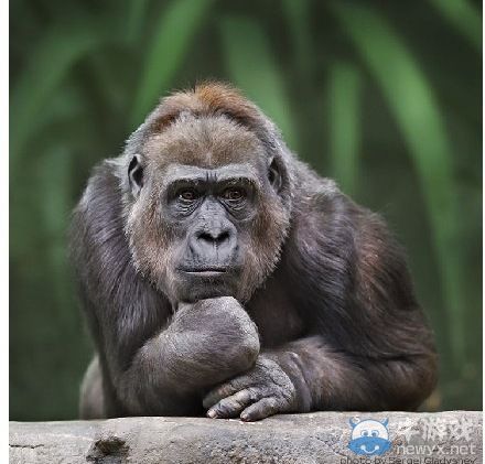 道理大家都懂!細數18條人生很難做到但應該注意的事情