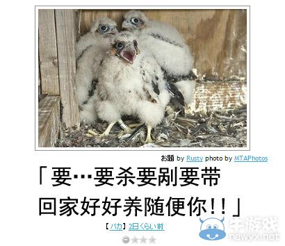 有笑也有淚!快來一起看笑中帶淚的日式冷吐槽吧
