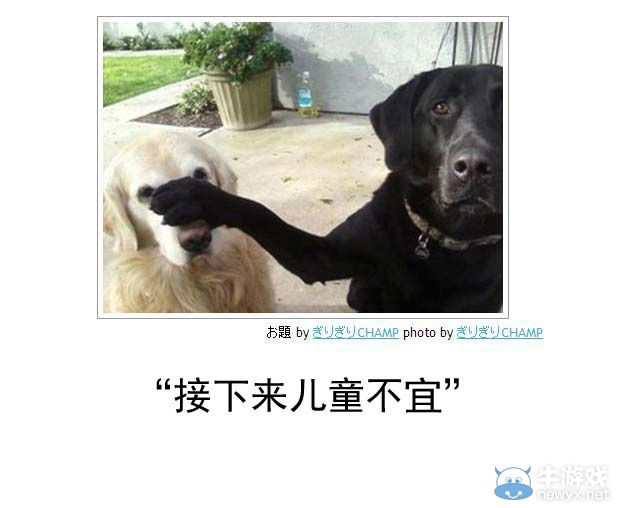 有笑也有淚!快來一起看笑中帶淚的日式冷吐槽吧