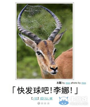 有笑也有淚!快來一起看笑中帶淚的日式冷吐槽吧