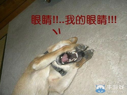 今日神吐槽:情侶小偷熱吻慶功被拍 你們叼的不行!