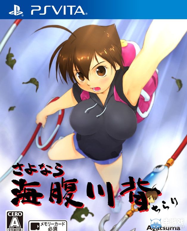 《再見海腹川背：閃》游戲封面與首發(fā)特典實物